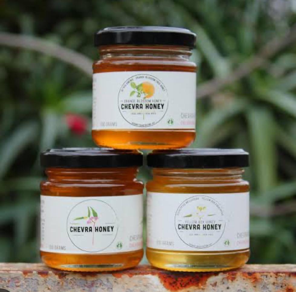 Hélène’s Collections - Chevra Honey 100grams