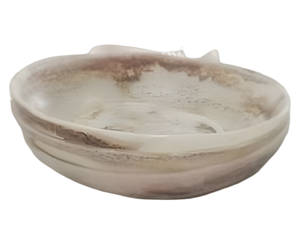 Janine's Resin - Jurassic Resin 30cm Bowl