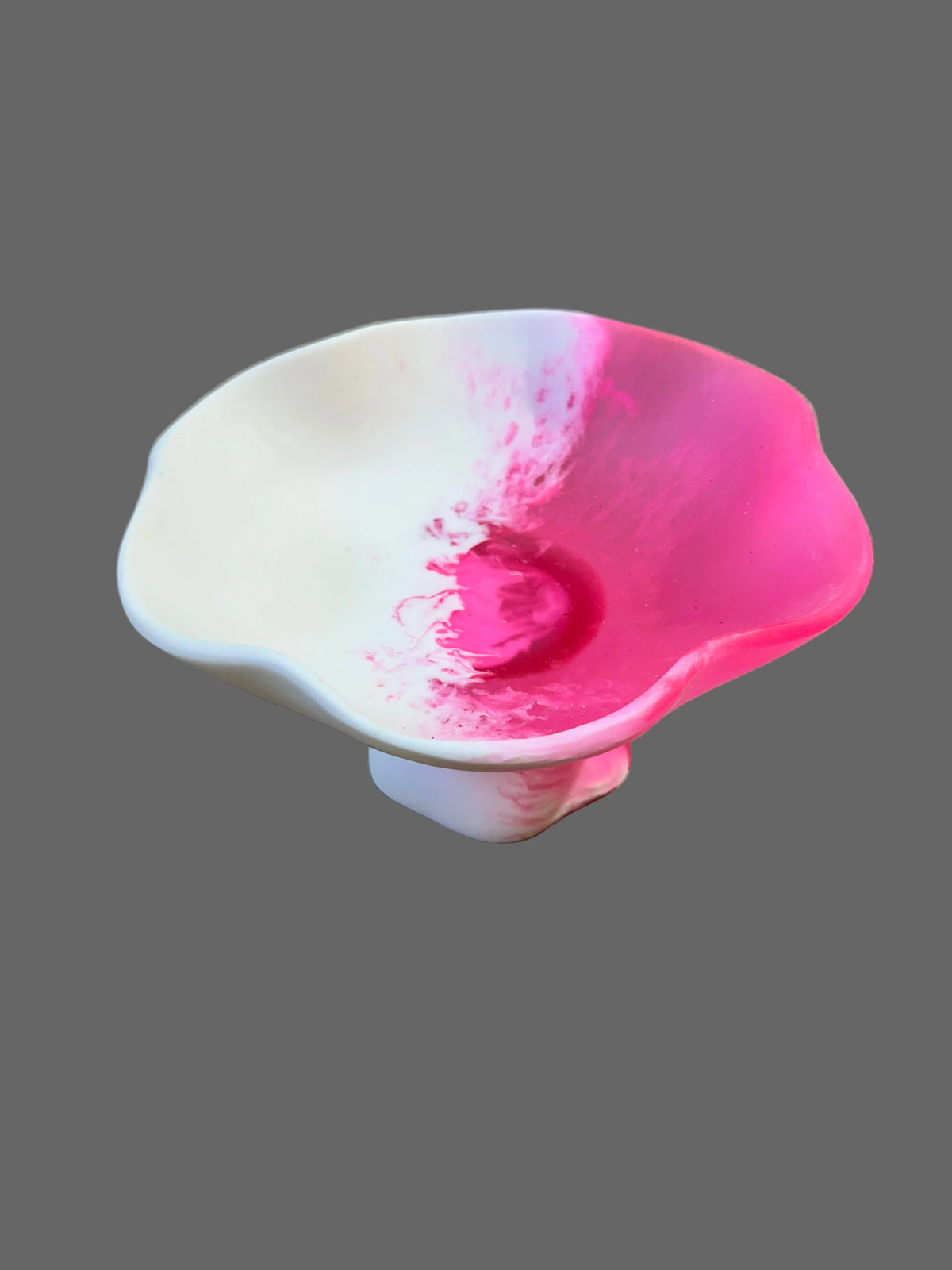 Jurassic Resin - Dulang Small 14
