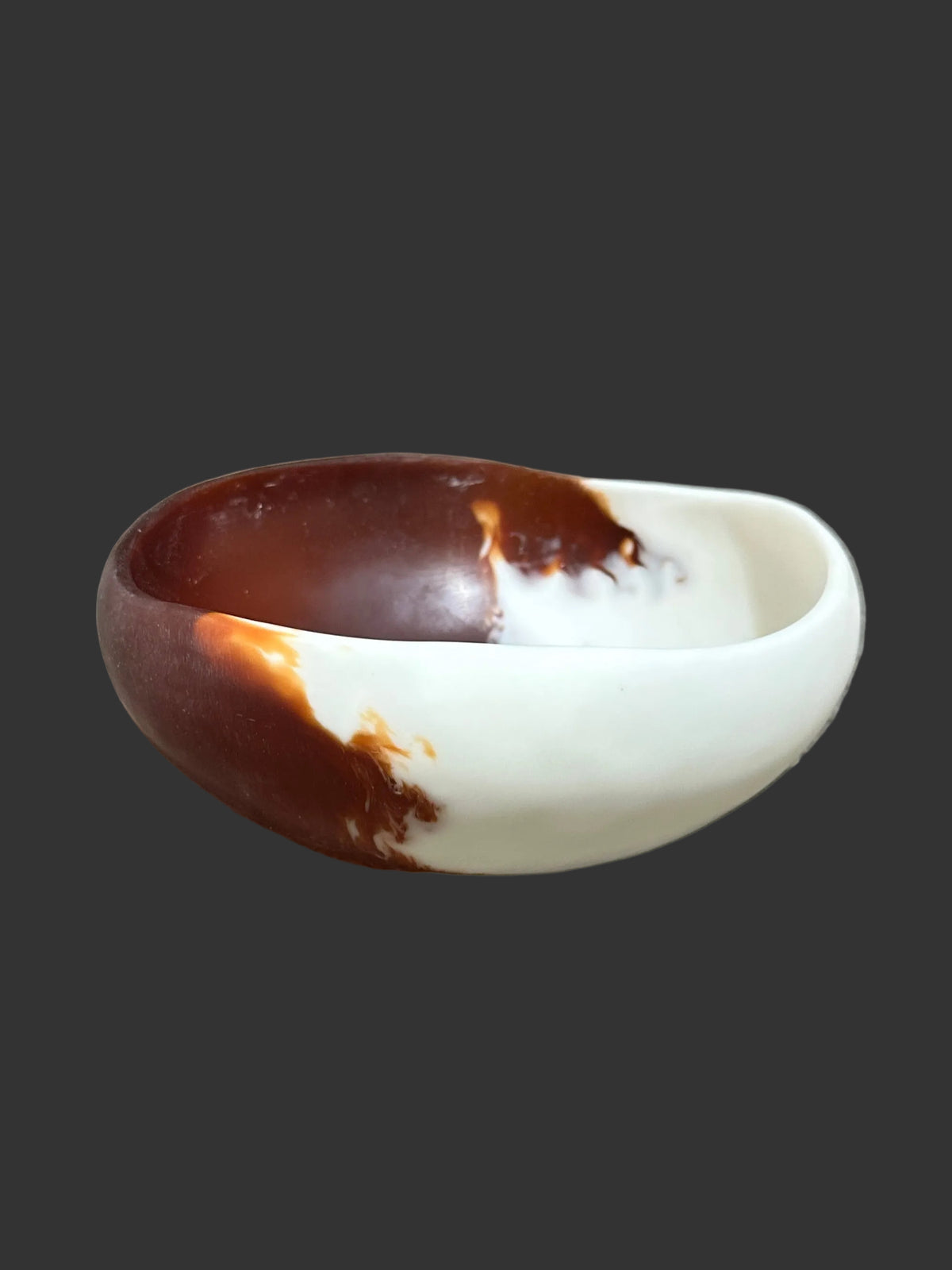 Jurassic Resin - Bowl Small 3