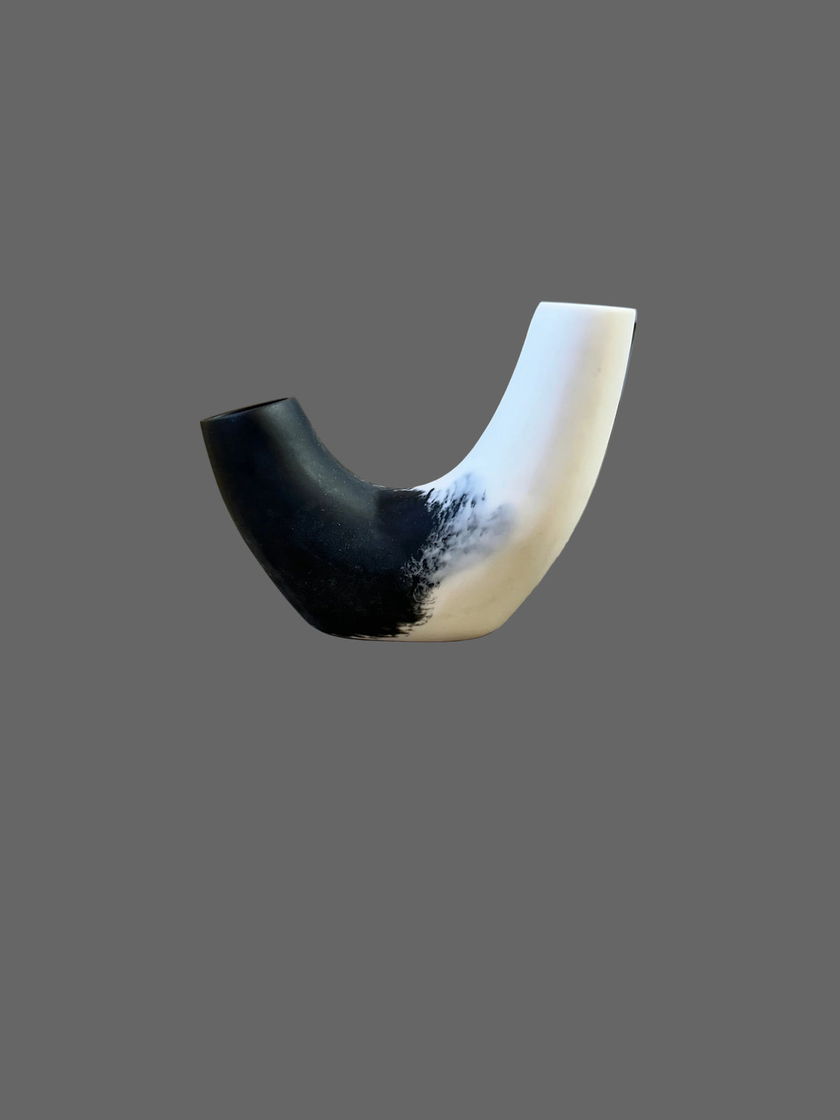 Jurassic Resin - Vase 1/2 U 5