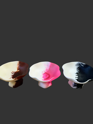 Jurassic Resin - Dulang Small 14