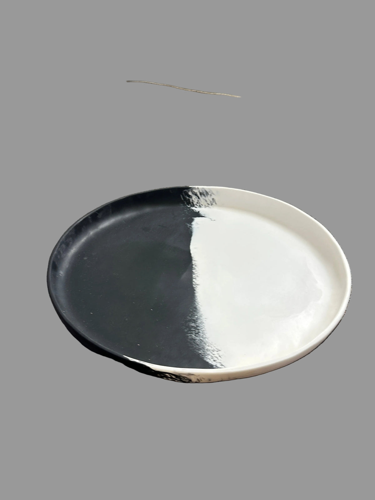 Jurassic Resin - Jumbo Platter 8
